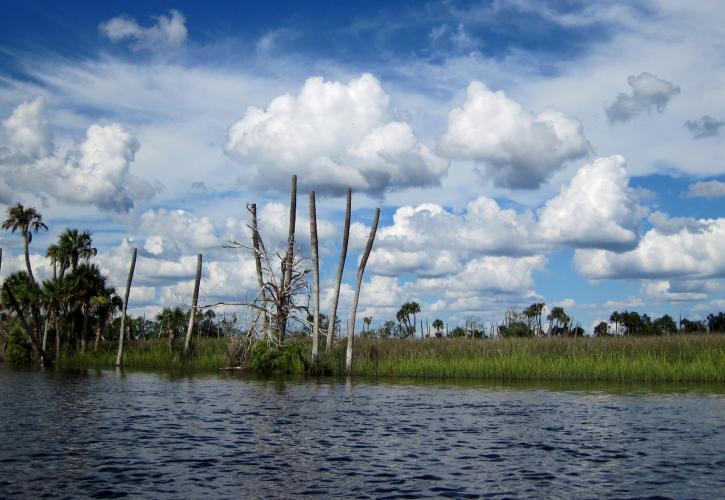 Waccasassa Bay Preserve State Park Florida State Parks